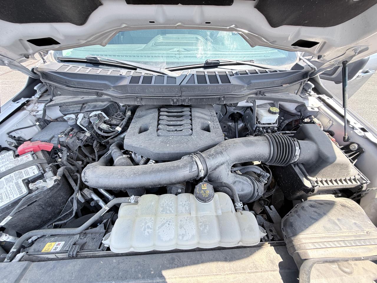 Ford F-150 XL SuperCrew 6.5-ft. Bed 4WD 2021