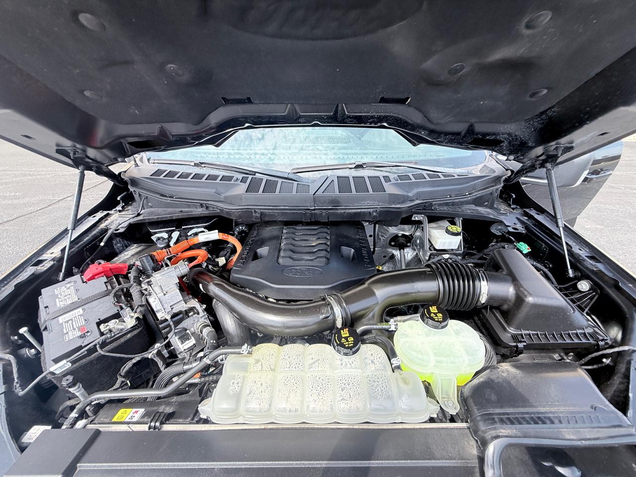 Ford F-150 XL SuperCrew 6.5-ft. Bed 4WD 2021
