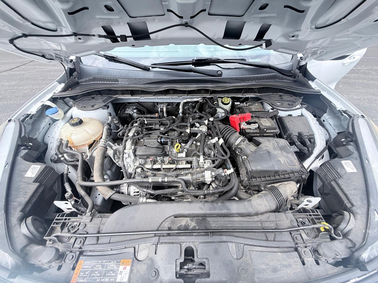 Ford Escape SEL 2022