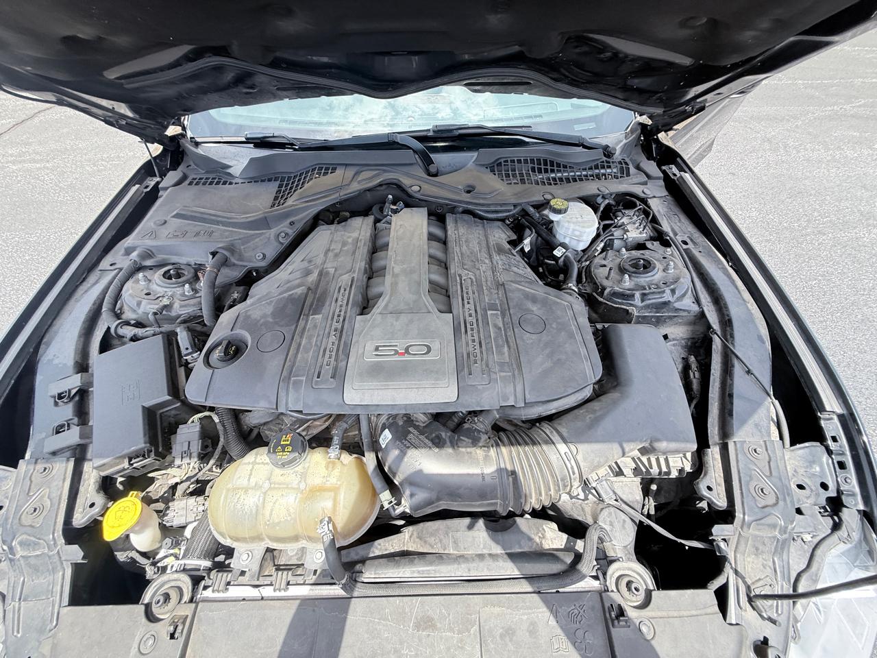 Ford Mustang GT Premium Coupe 2019