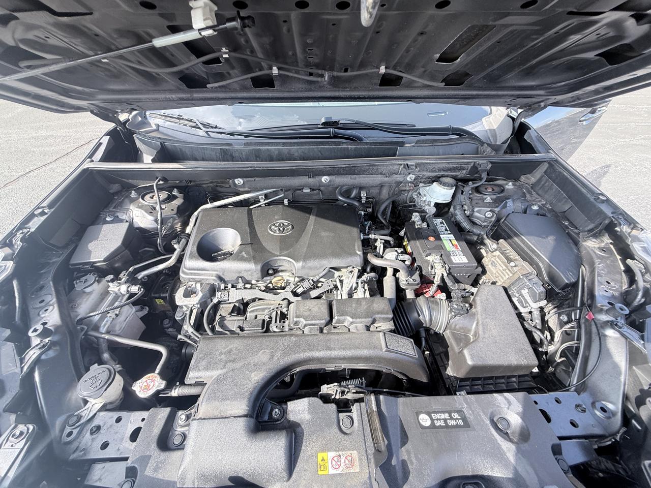 Toyota RAV4 XLE Premium 2019