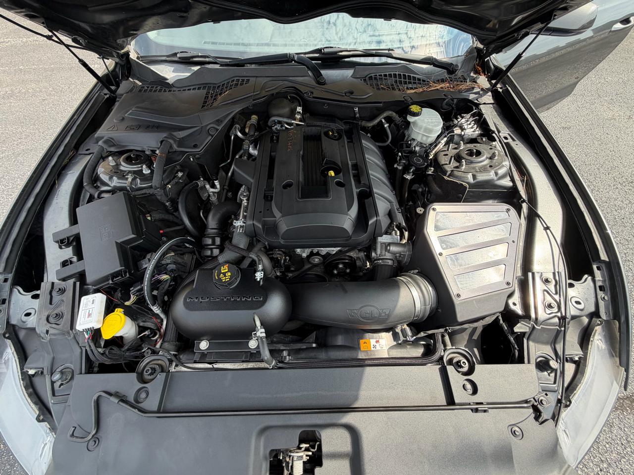 Ford Mustang EcoBoost Coupe 2017