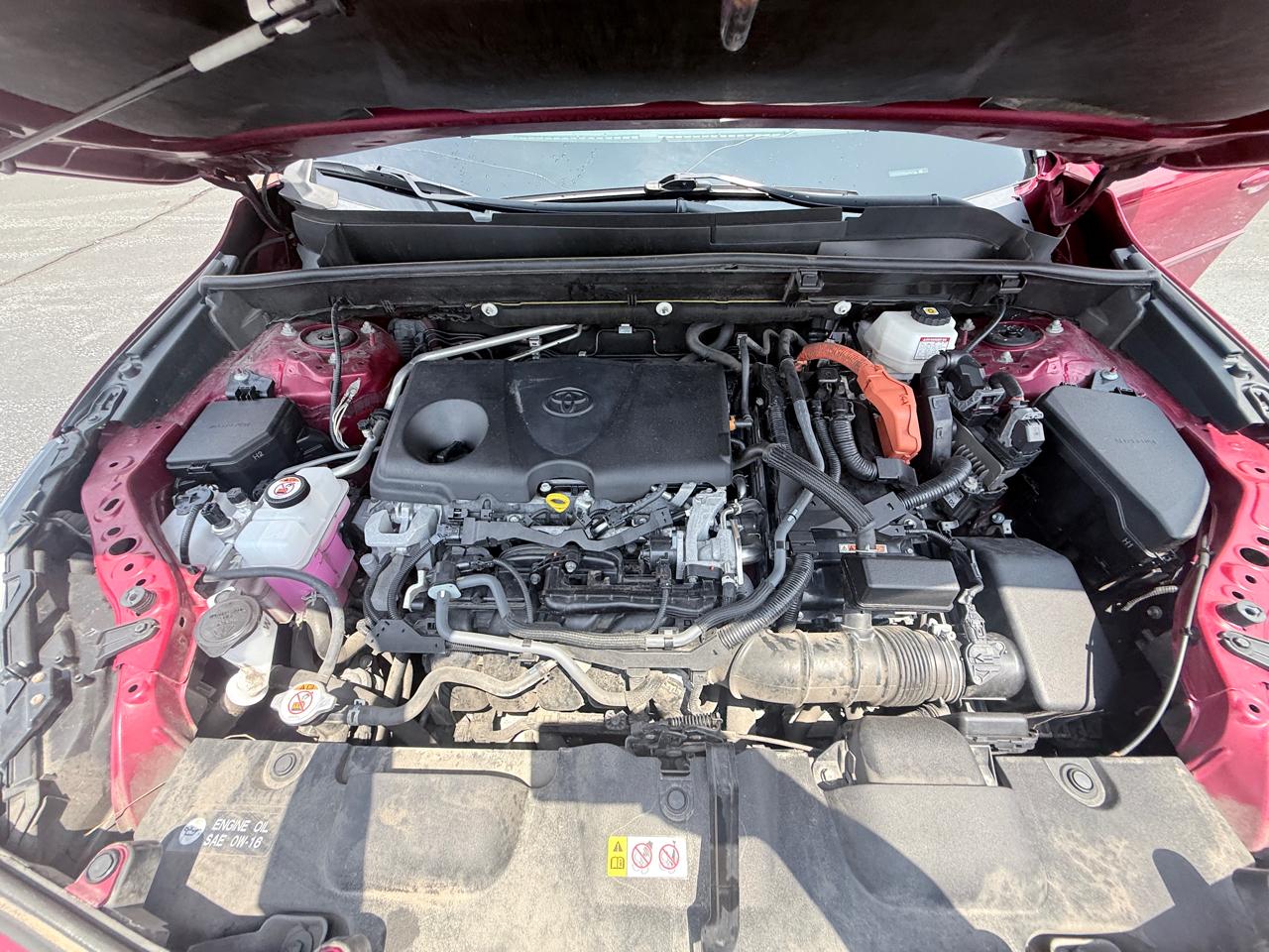 Toyota Venza LE 2021