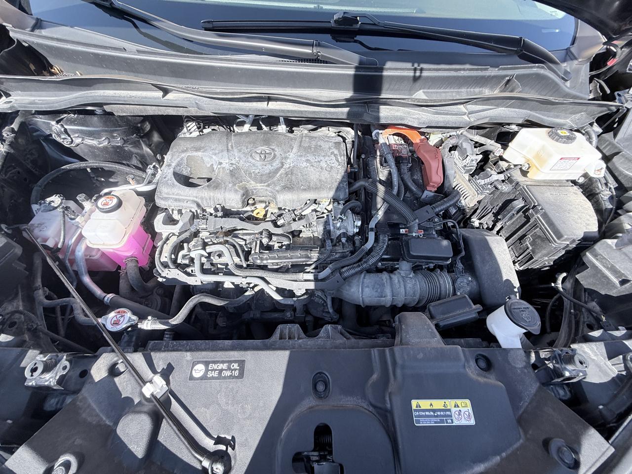 Toyota Sienna LE 8-Passenger AWD 2023