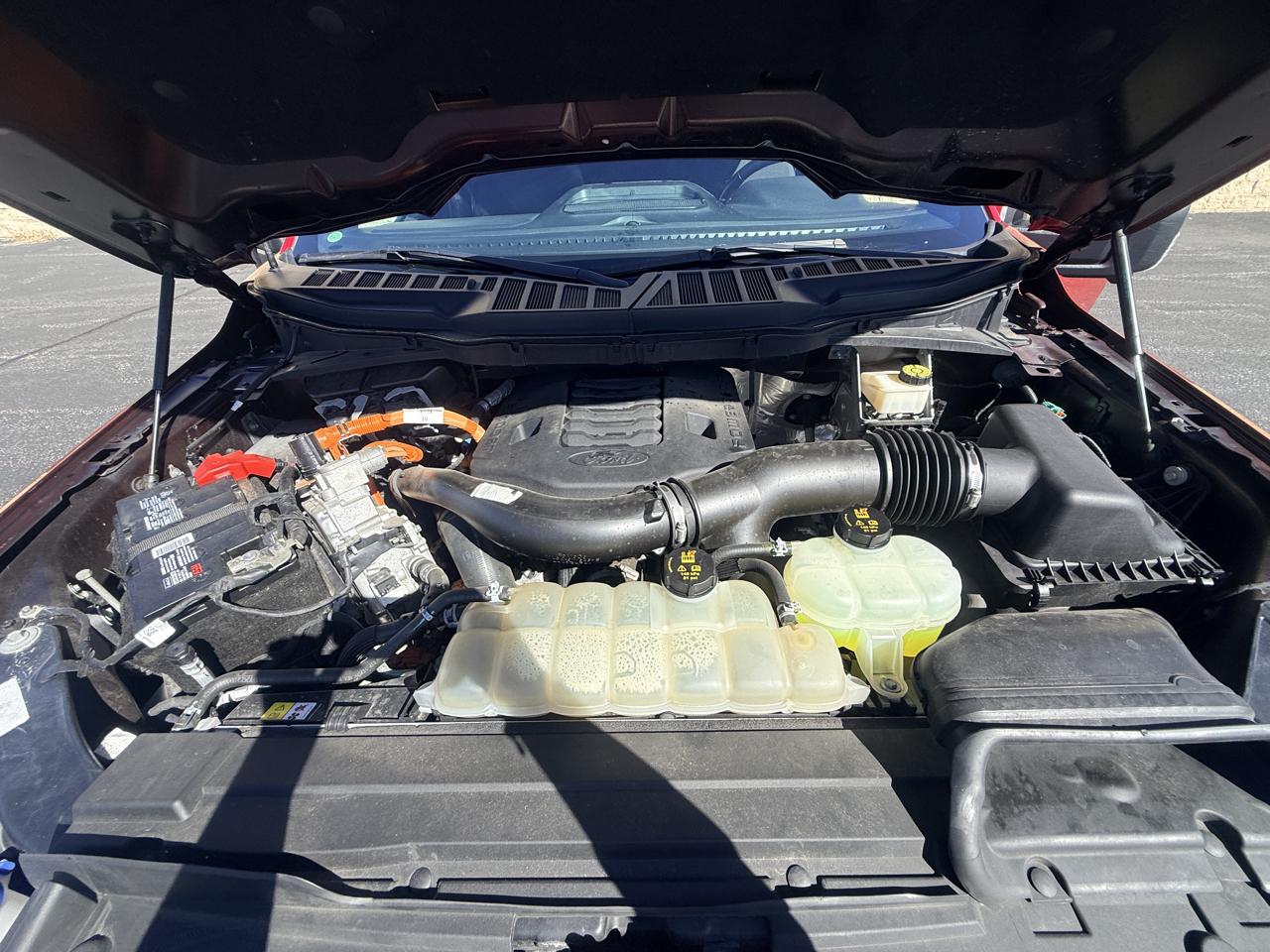 Ford F-150 XL SuperCrew 6.5-ft. Bed 4WD 2022