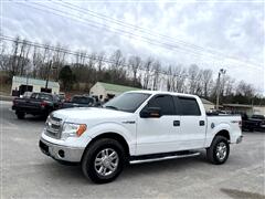 2013 Ford F-150  2013 Ford F-150