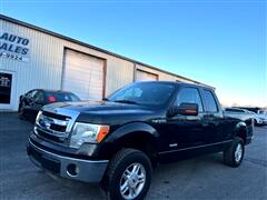 2014 Ford F-150  2014 Ford F-150