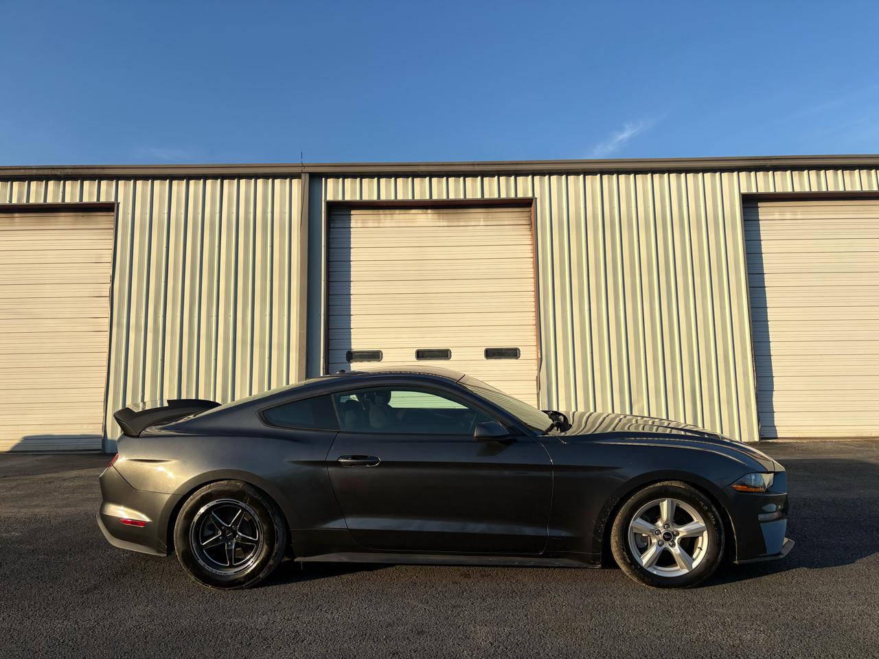 Ford Mustang EcoBoost Fastback 2019