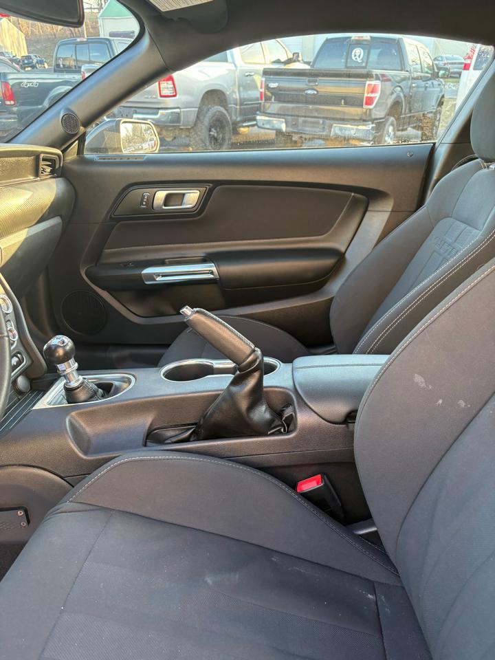 Ford Mustang EcoBoost Fastback 2019