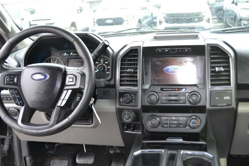 Ford F-150 XLT SuperCrew 6.5-ft. Bed 4WD 2020