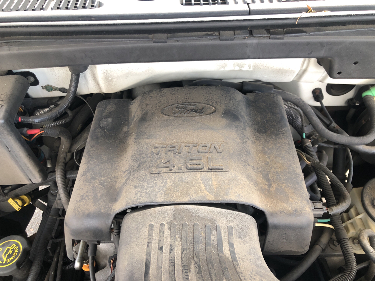 Used 1998 Ford F150 Reg Cab 120" for Sale in Lynnwood WA 98087