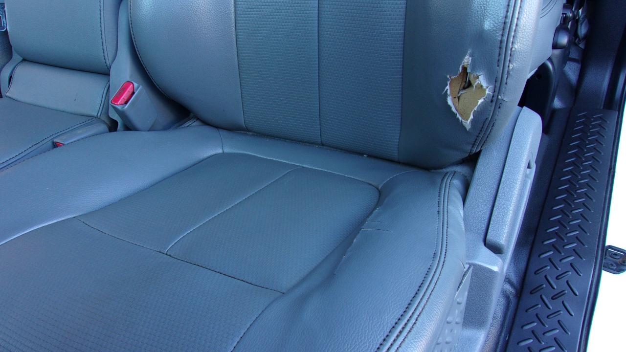 2011 Ford F-150 XL - Photo 10