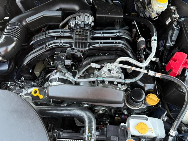 Subaru Outback Premium 2024