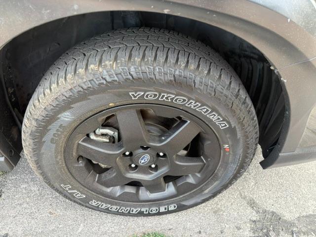 Subaru Outback Wilderness 2024