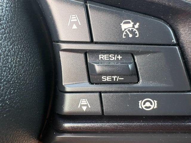 Subaru Outback Wilderness 2024