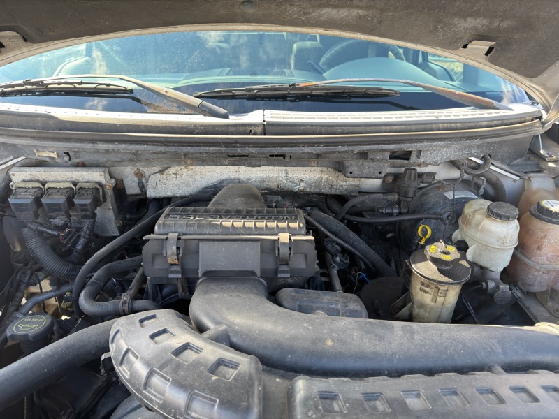 Ford F-150 2WD Reg Cab 141" XLT 2007