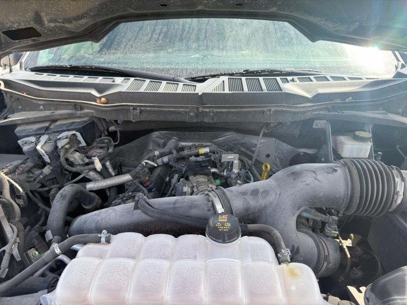 Ford F-150 XL SuperCrew 6.5-ft. Bed 4WD 2021