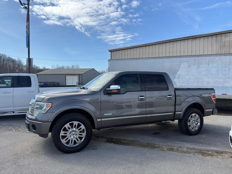 Ford F-150 4WD SuperCrew 145" Platinum 2014