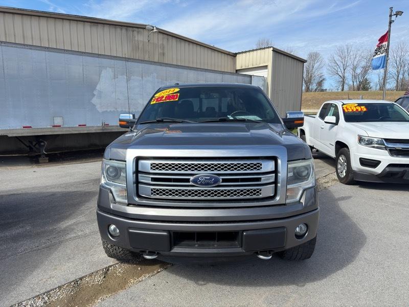 Ford F-150 4WD SuperCrew 145" Platinum 2014