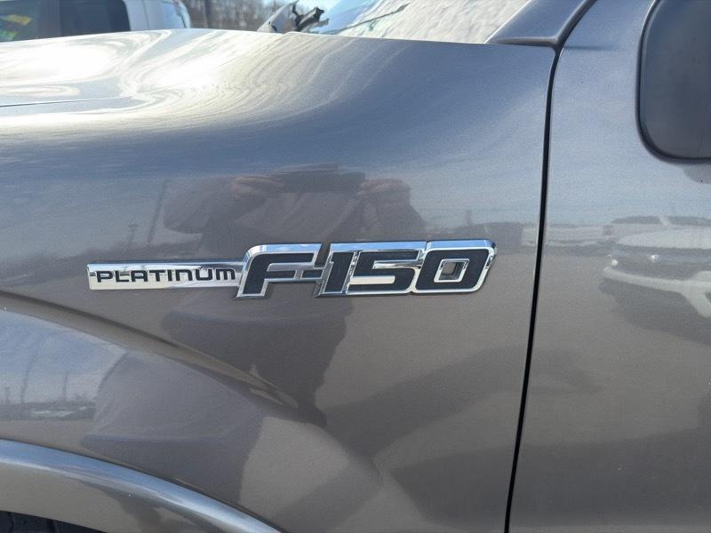 Ford F-150 4WD SuperCrew 145" Platinum 2014