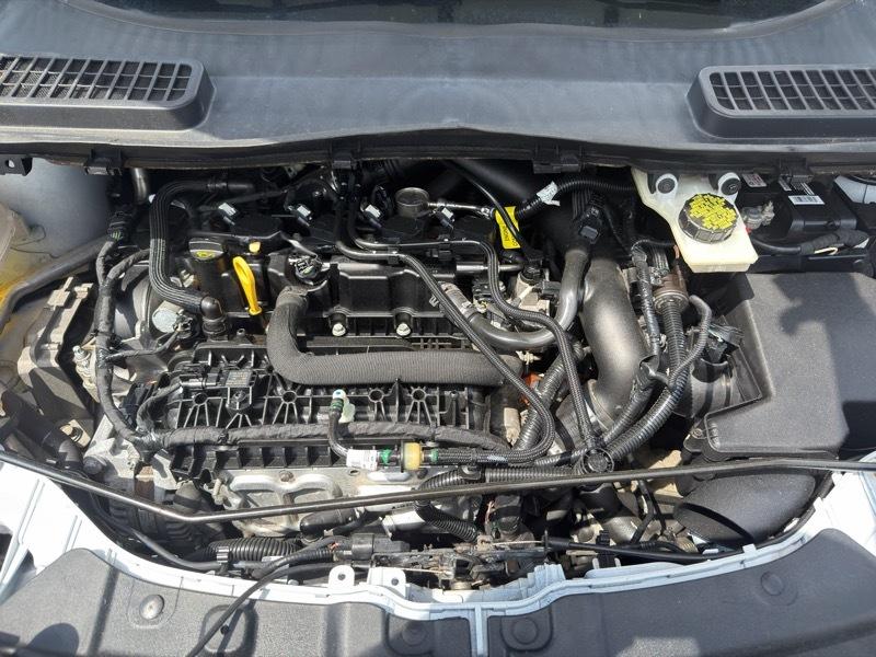 Ford Escape SE 4WD 2019