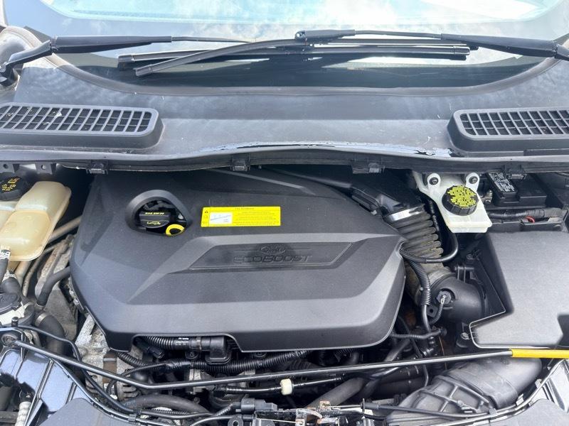 Ford Escape SE FWD 2019