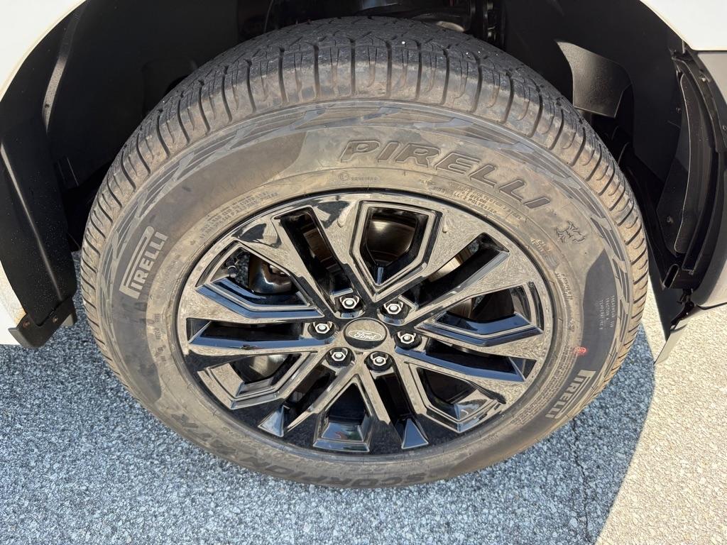 Ford F-150 XLT 2WD SuperCab 6.5' Box 2019