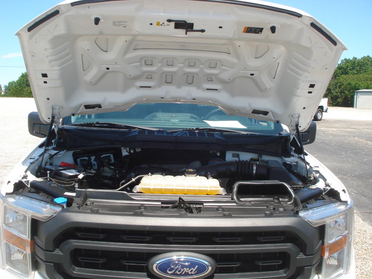 Ford F-150 XL Reg. Cab Long Bed 2WD 2022