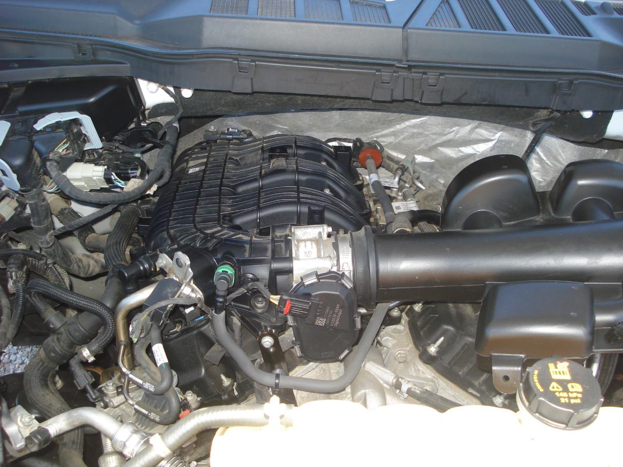Ford F-150 XL Reg. Cab Long Bed 2WD 2022