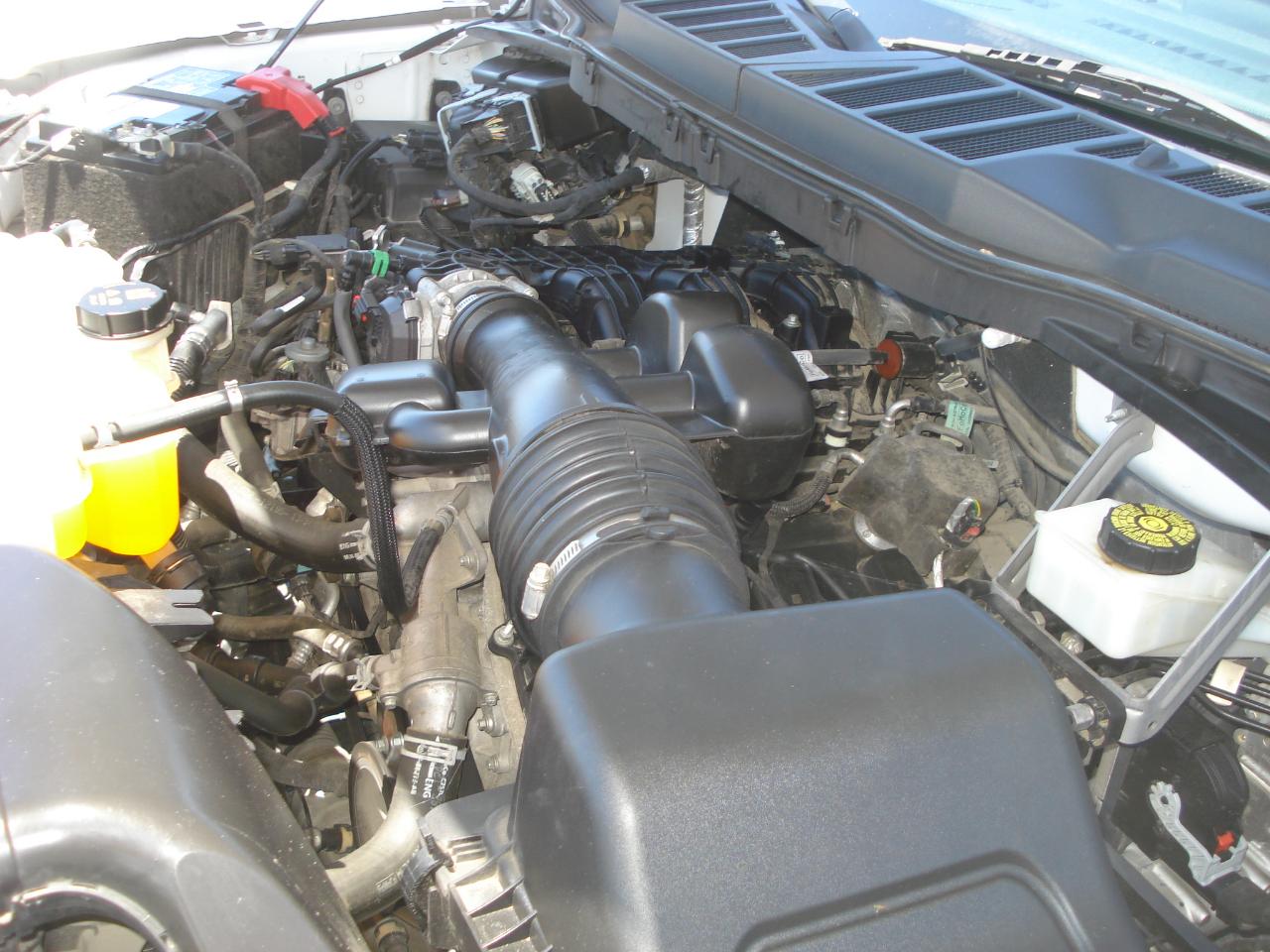Ford F-150 XL Reg. Cab Long Bed 2WD 2022