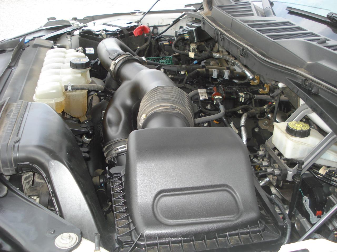 Ford F-150  2022