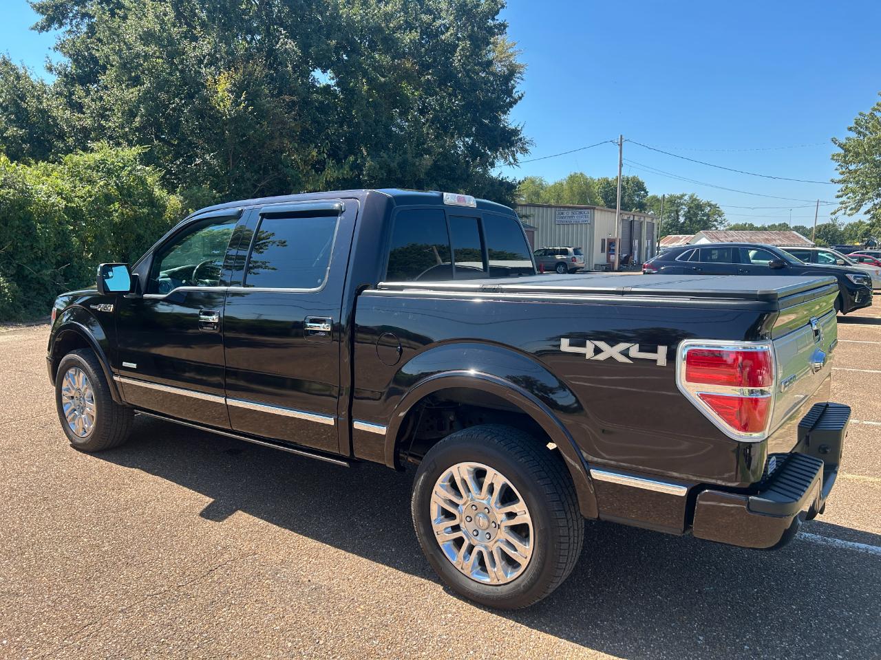 Ford F-150 4WD SuperCrew 145" Platinum 2013