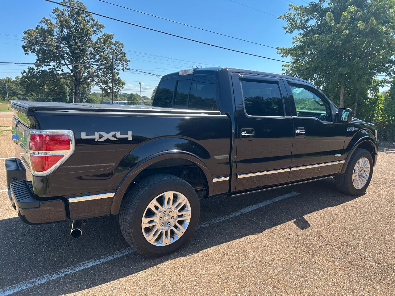 Ford F-150 4WD SuperCrew 145" Platinum 2013