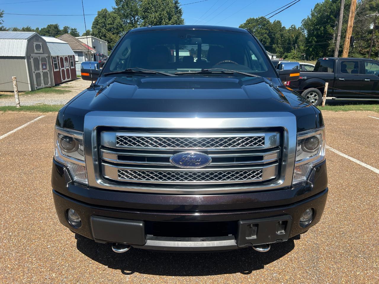 Ford F-150 4WD SuperCrew 145" Platinum 2013