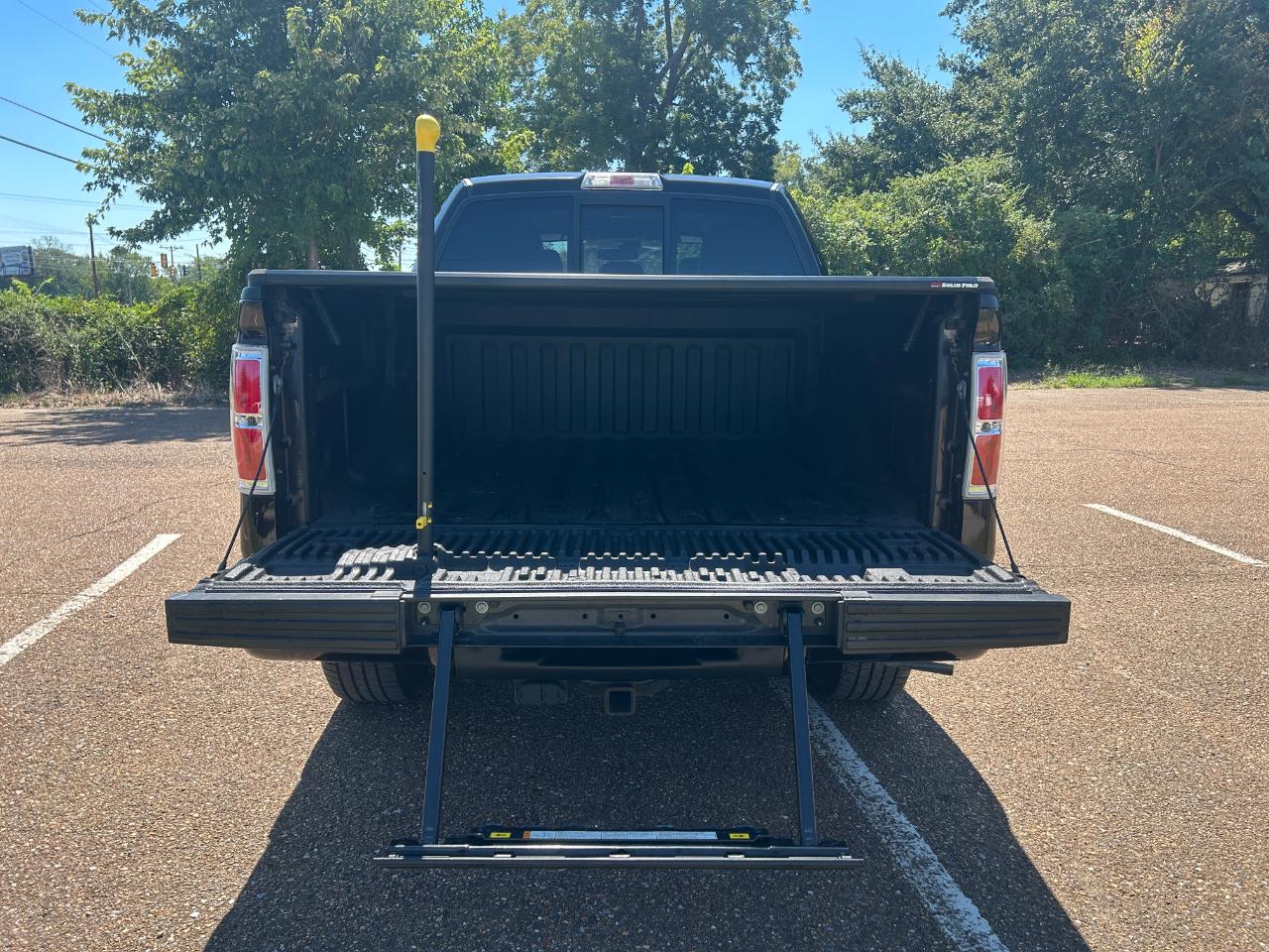 Ford F-150 4WD SuperCrew 145" Platinum 2013