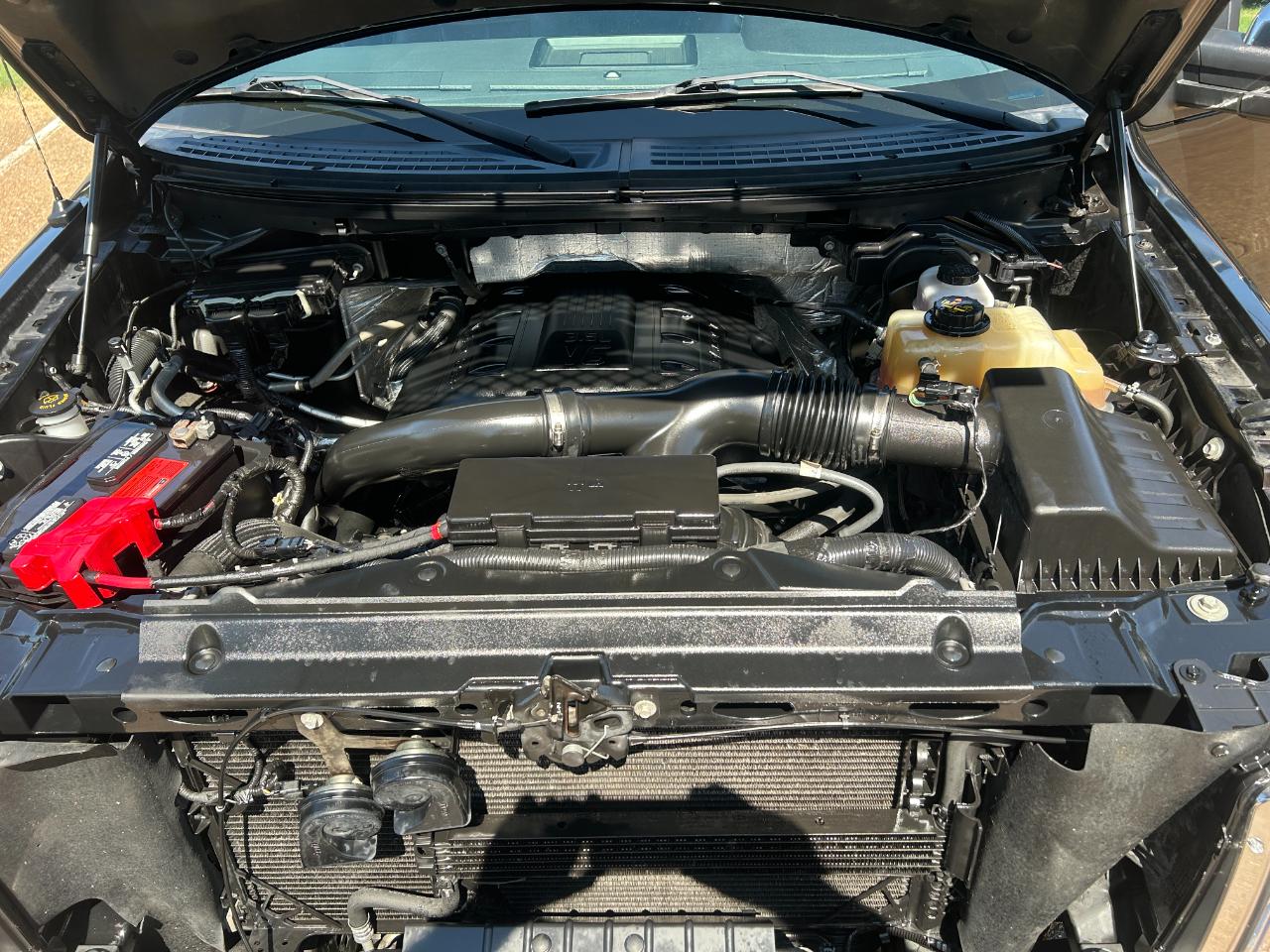 Ford F-150 4WD SuperCrew 145" Platinum 2013