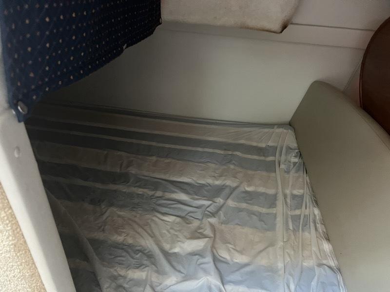 Bayliner Pleasure Boat Base 2010