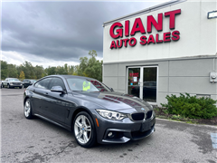 2016 BMW 4 Series  2016 BMW 4 Series