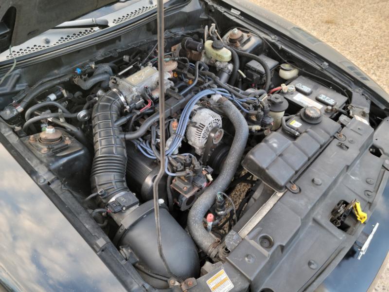 Ford Mustang  1998 Ford Mustang  1998