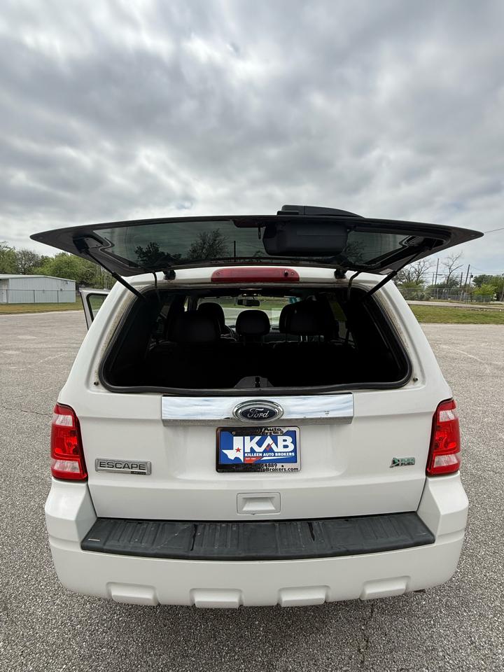 Ford Escape  2010