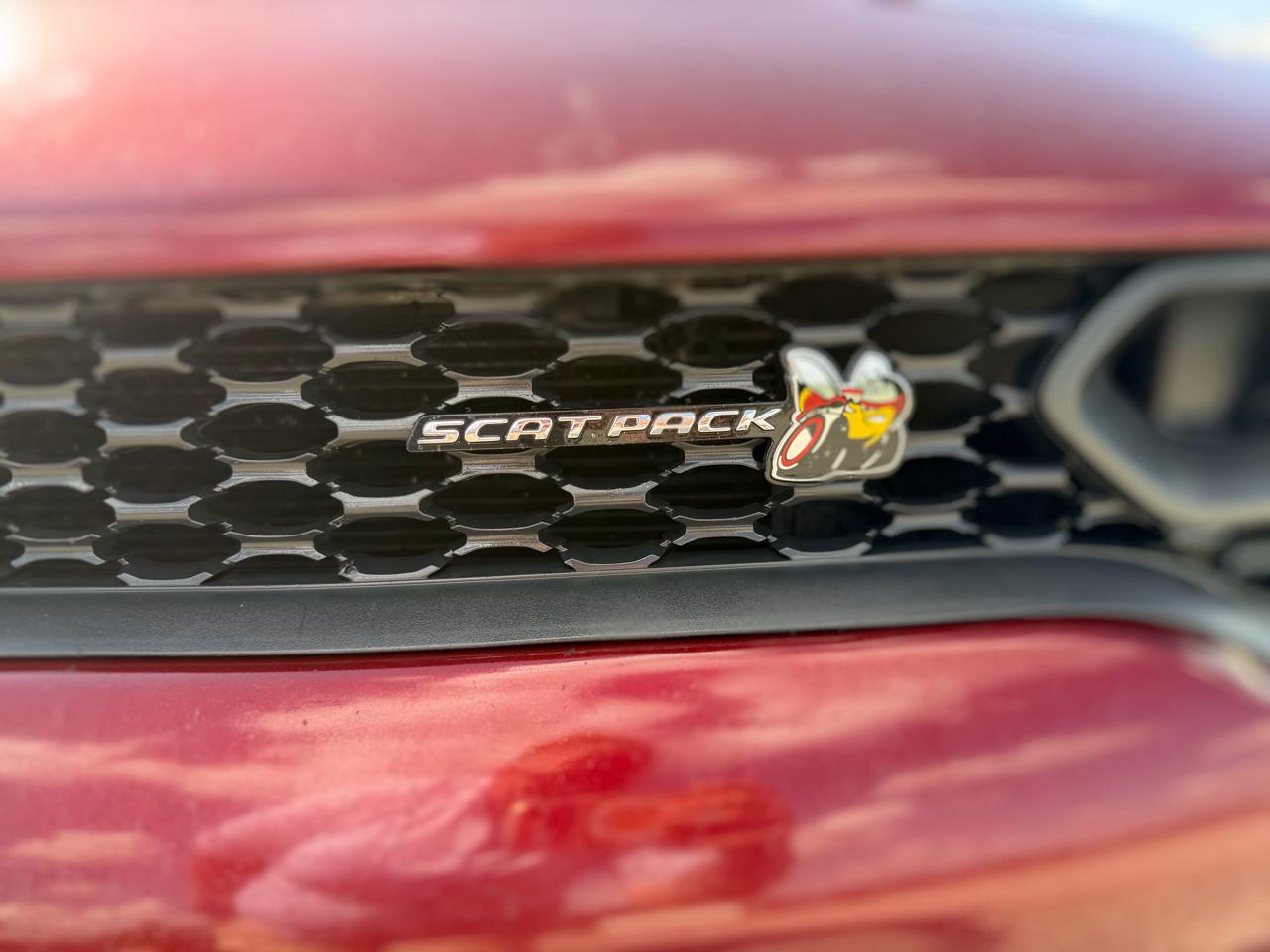 Dodge Charger  2019