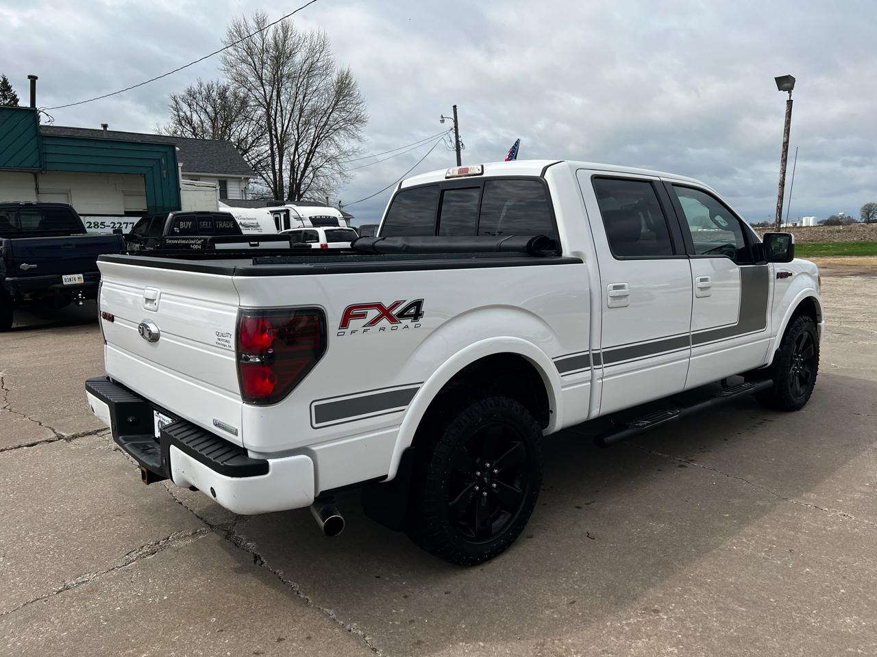 Ford F-150 4WD SuperCrew 145" Platinum 2012