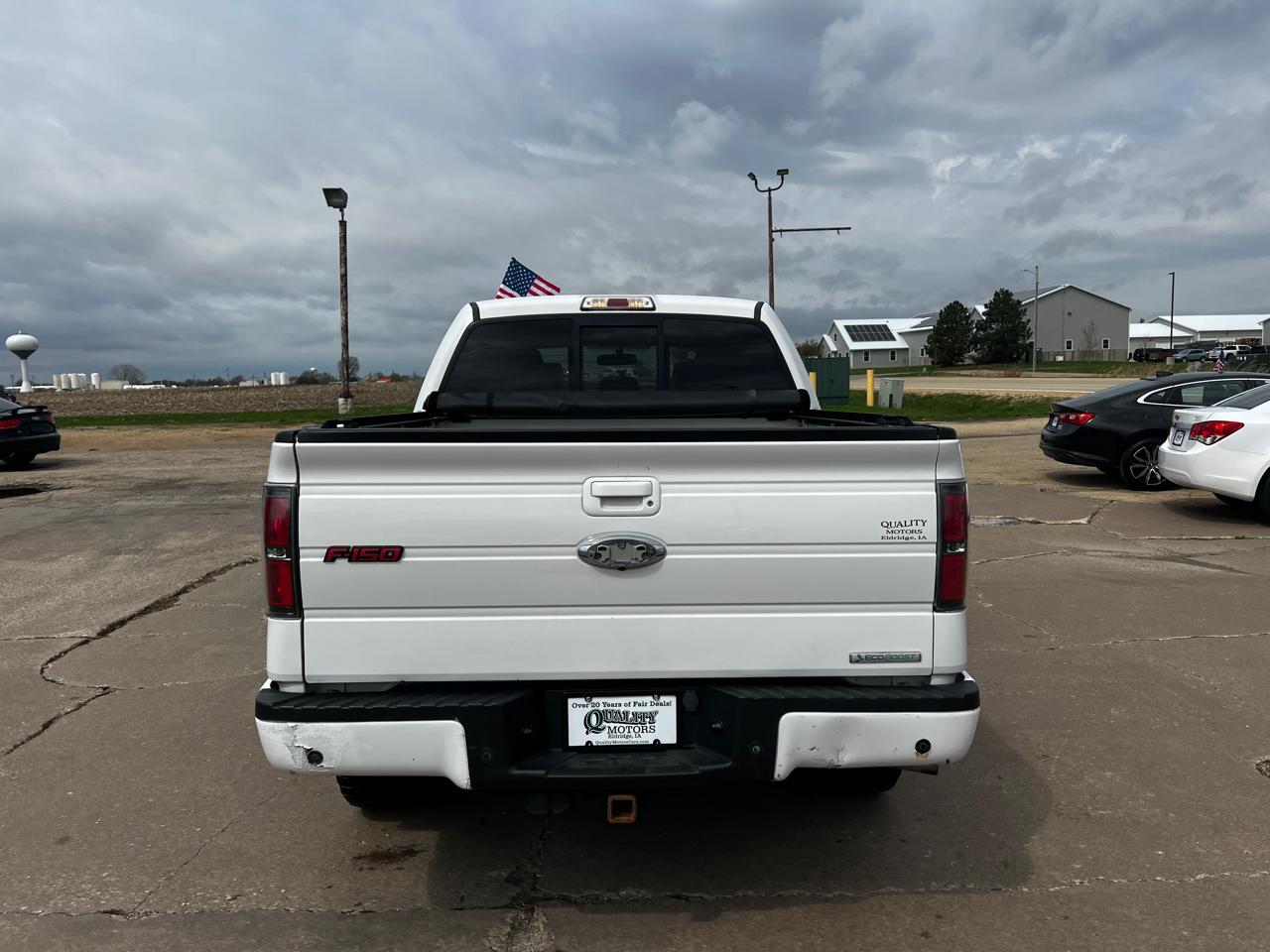 Ford F-150 4WD SuperCrew 145" Platinum 2012