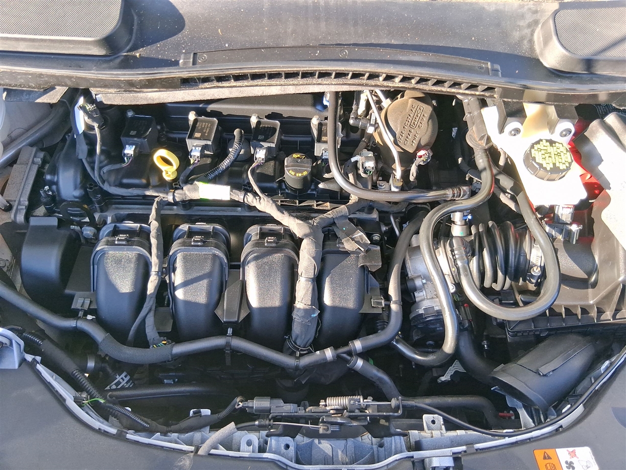 Ford Transit Connect Cargo Van XLT LWB w/Rear Liftgate 2020