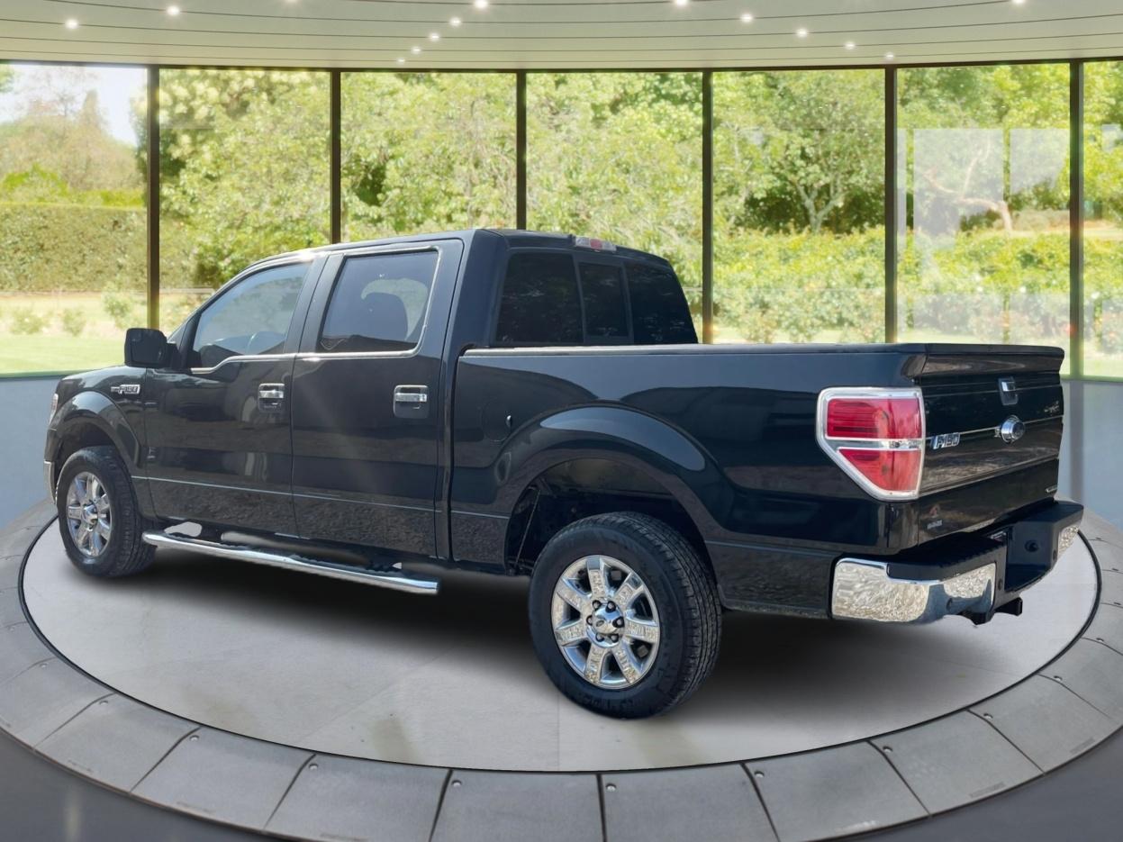 Ford F-150 2WD SuperCrew 145" XL 2014