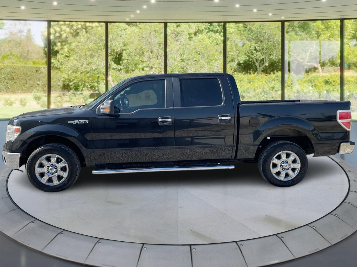 Ford F-150 2WD SuperCrew 145" XL 2014