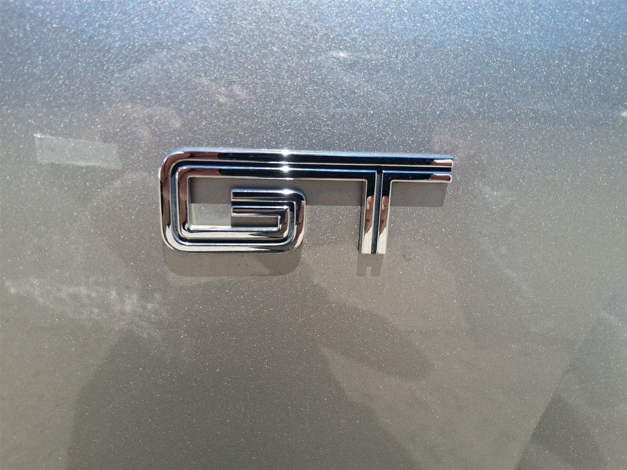 Ford Mustang GT Deluxe Coupe 2008