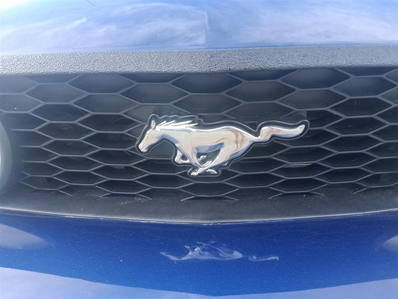 Ford Mustang GT Deluxe Convertible 2008
