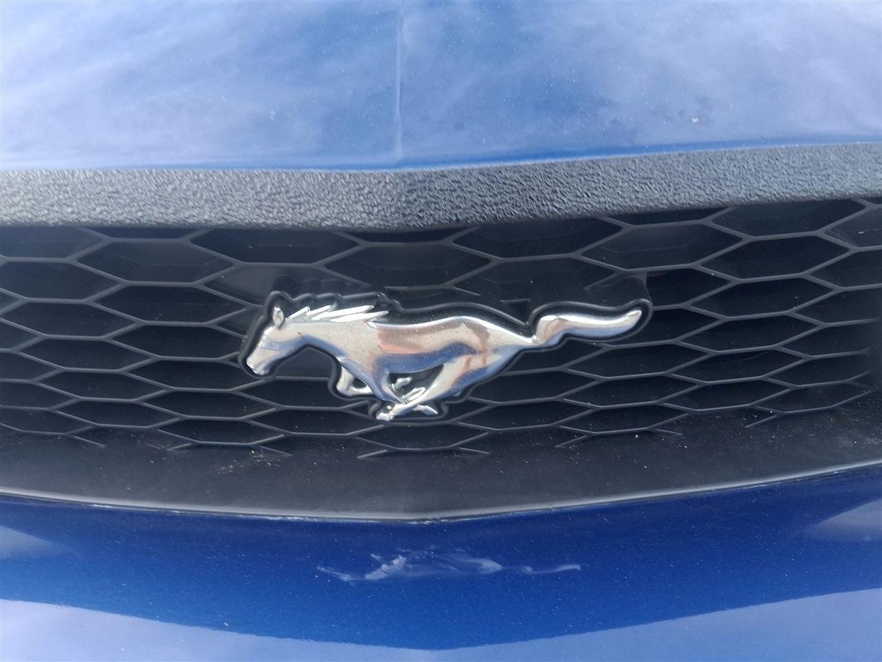 Ford Mustang GT Deluxe Convertible 2008