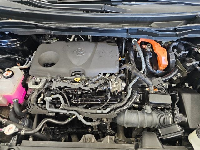 Toyota Sienna LE AWD 8-Passenger (Natl) 2022